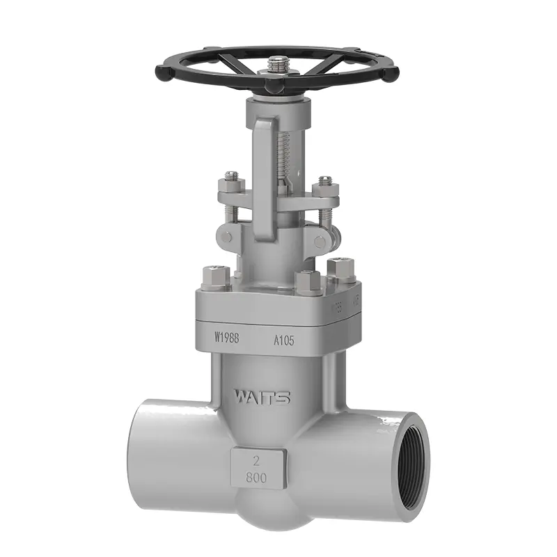 Van cổng thép giả mạo NPT