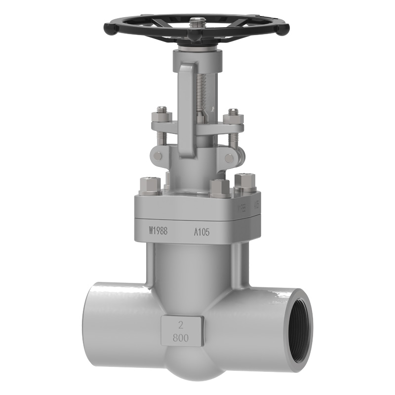 Van cổng thép rèn NPT
