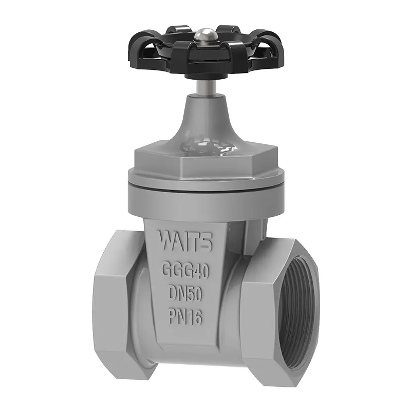 Van cổng ngồi có khả năng phục hồi của NPT‌
